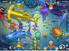 彩777ccapp最新版下载2024最新版